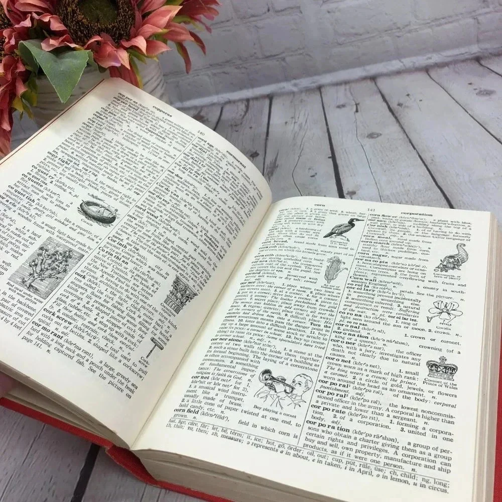 vintage thorndike barnhart junior's dictionary 1968